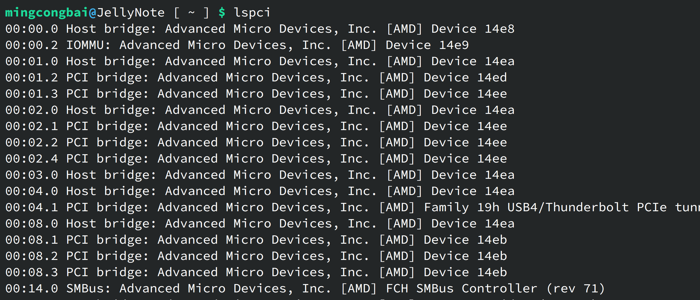 以联想 ThinkBook 14+ 2024 AMD 版为例，许多 PCI 设备的型号信息均有缺失